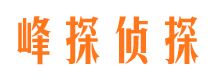 突泉侦探公司